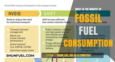 Fossil Fuel Consumption: Uncovering Its Economic and Energy Benefits