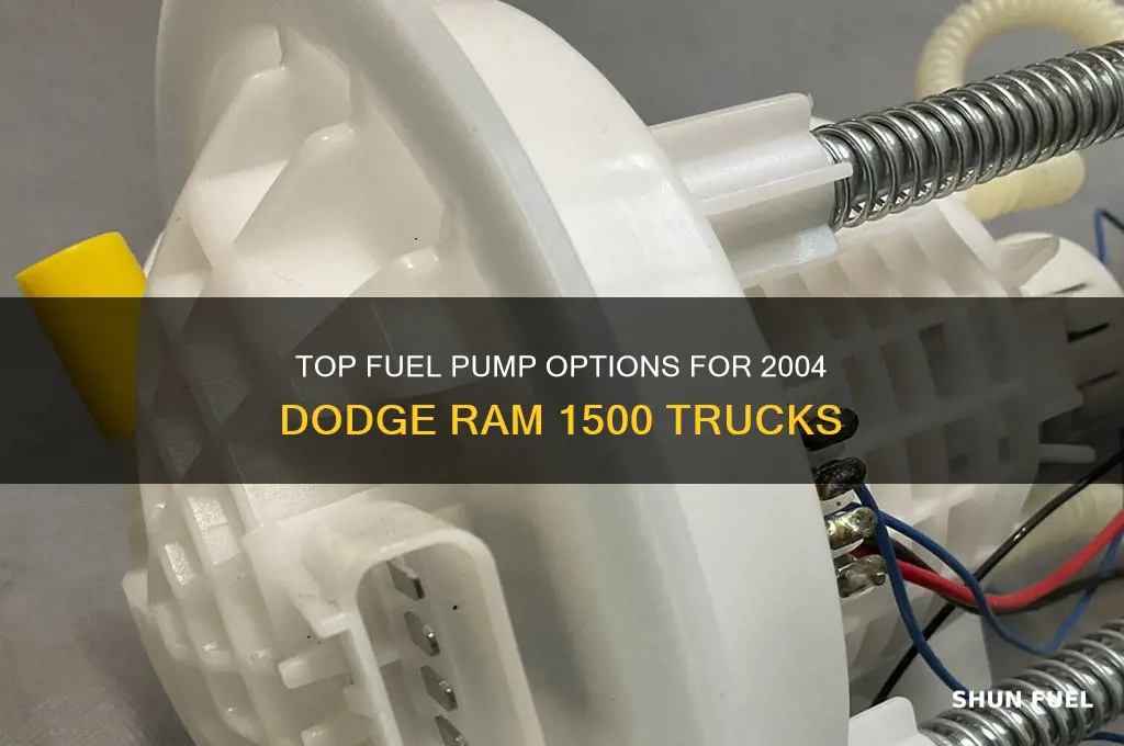 what is the best 2004 dodge ram 1500 fuel pump