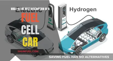 Fuel Cell Cars: The Future of Green Transportation?