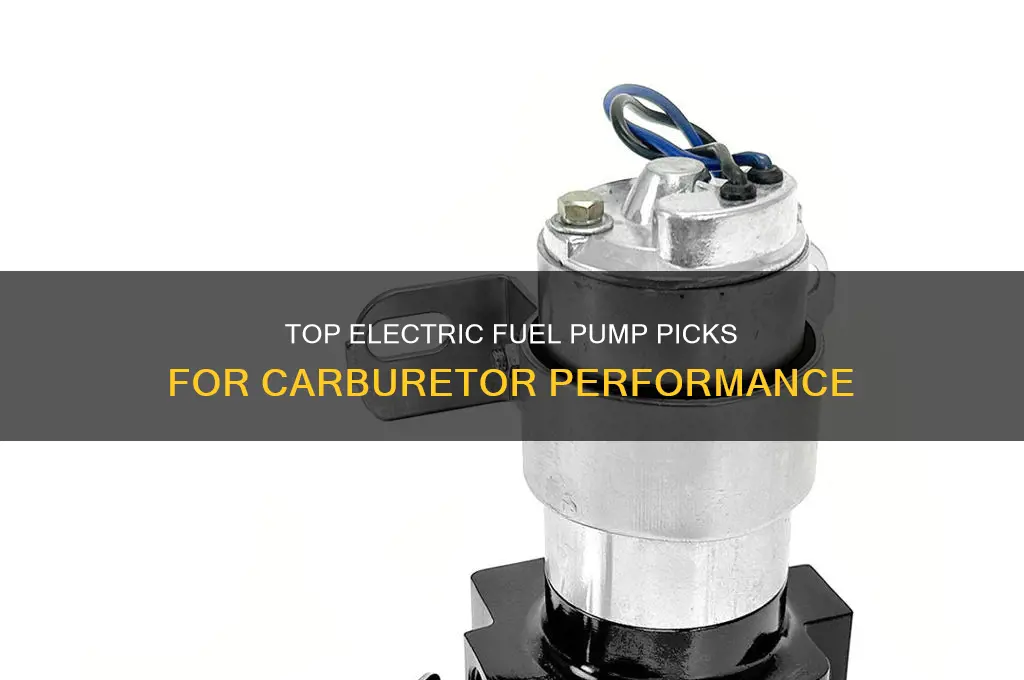 what is the best electric fuel pump for carburetor