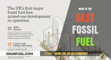 Exploring the Most Efficient and Sustainable Fossil Fuel Option