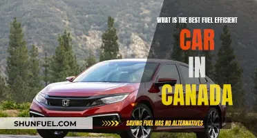 Canada's Top Fuel-Efficient Cars: Smart Choices