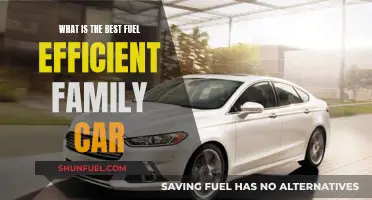 Fuel-Efficient Family Cars: Smart Choices for Smart Families