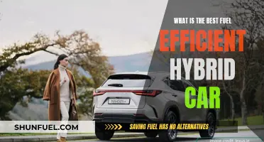Best Hybrid Cars: Fuel Efficiency and Performance