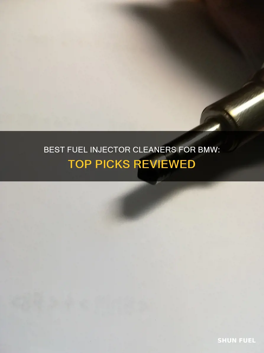 what is the best fuel injector cleaner for bmw