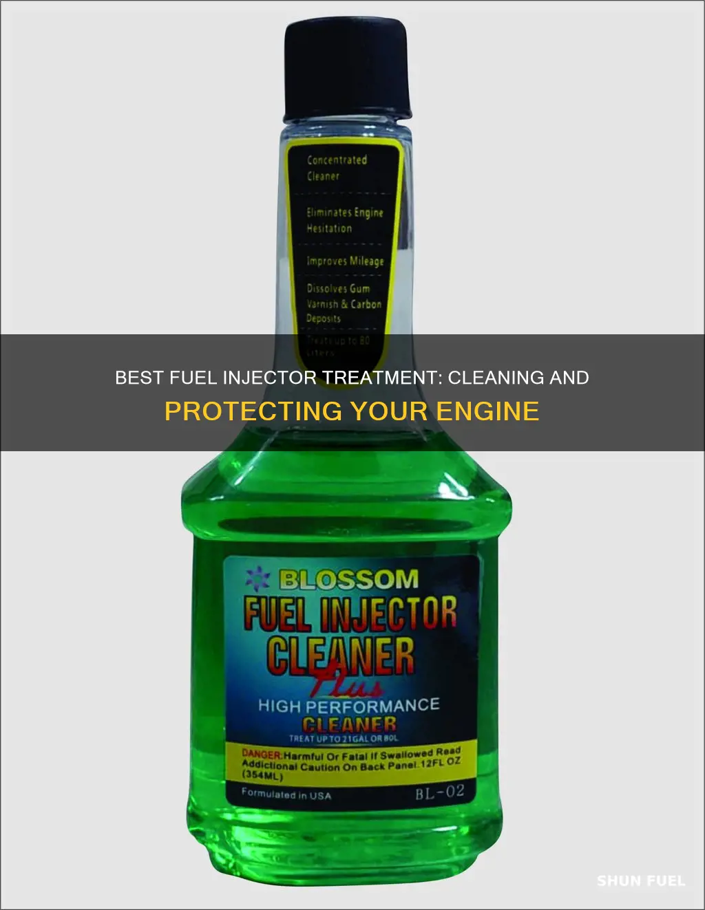what is the best fuel injector treatment