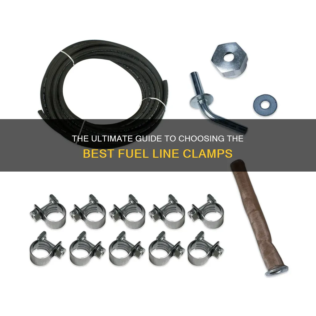 what is the best fuel line clamps