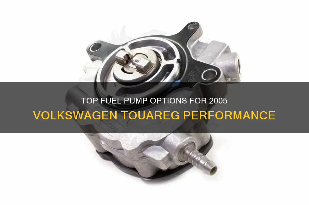 what is the best fuel pump for 05 volkswagen touareg