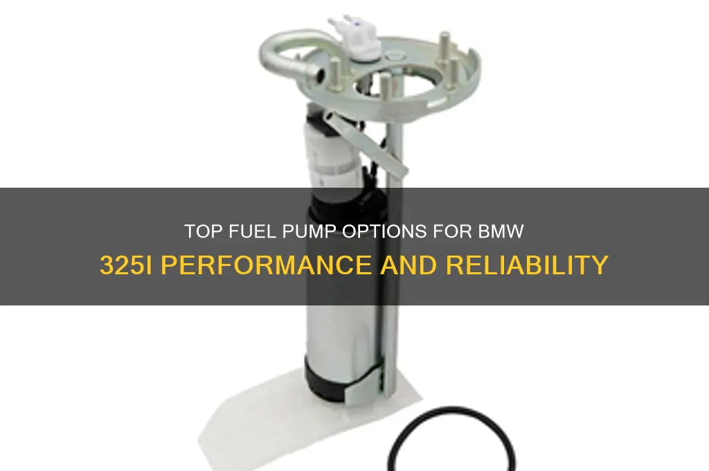 what is the best fuel pump for bmw 325i