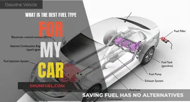 Choosing the Right Fuel Type for Your Car