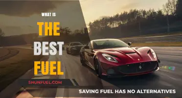 Exploring the Optimal Fuel Choice for Your Vehicle's Performance
