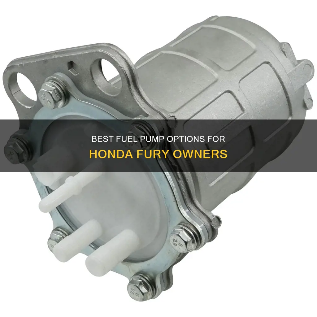 what is the best honda fury replacement fuel pump