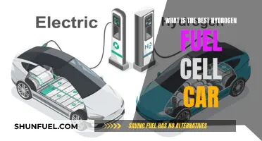 Hydrogen Fuel Cell Cars: Which Is the Best?