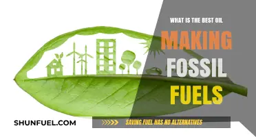 Exploring the Top Oil Alternatives to Fossil Fuels for a Greener Future