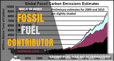 Unveiling the Top Fossil Fuel Contributor: A Global Emissions Analysis