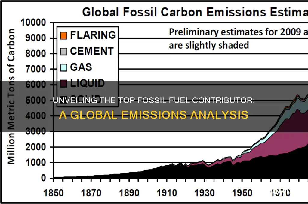what is the biggest fossil fuel contributor