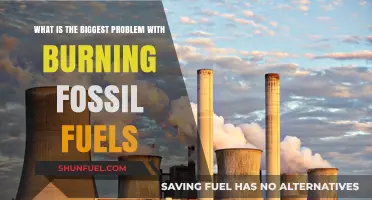Burning Fossil Fuels: The Devastating Environmental and Health Crisis