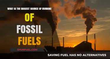 The Primary Culprit: Uncovering the Biggest Source of Fossil Fuel Burning