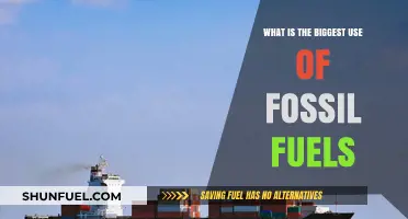 Fossil Fuels' Dominant Role: Powering Industries and Transportation Globally