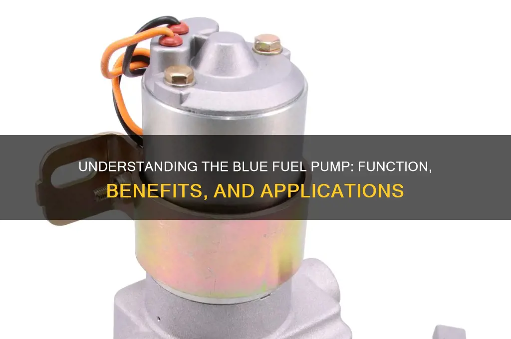 what is the blue fuel pump