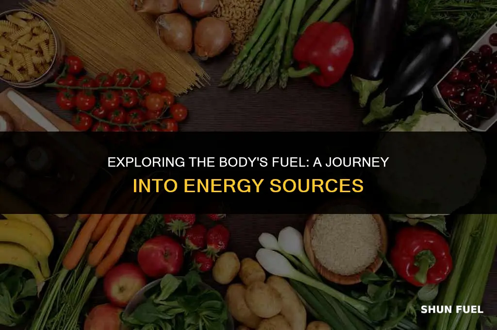 what is the bodys fuel