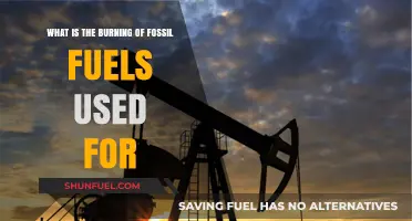 Burning Fossil Fuels: Powering Industries, Transportation, and Daily Life