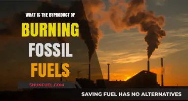 Burning Fossil Fuels: Unveiling the Harmful Byproducts and Environmental Impact