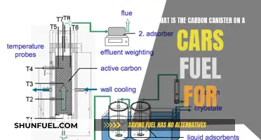 The Fuel System's Carbon Canister: Absorbing and Trapping Harmful Vapors