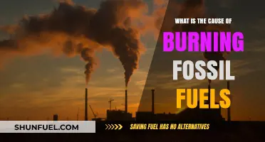 Burning Fossil Fuels: Uncovering the Root Causes and Environmental Impact