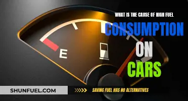 Understanding Car Fuel Consumption: Factors Leading to High Usage