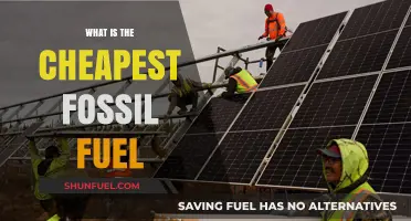Exploring the Most Affordable Fossil Fuel: A Cost-Effective Energy Option