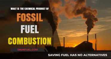 Fossil Fuel Combustion: Unveiling the Chemical Products and Environmental Impact