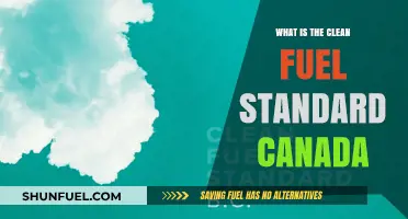 Understanding Canada's Clean Fuel Standard: A Guide to Low-Carbon Energy