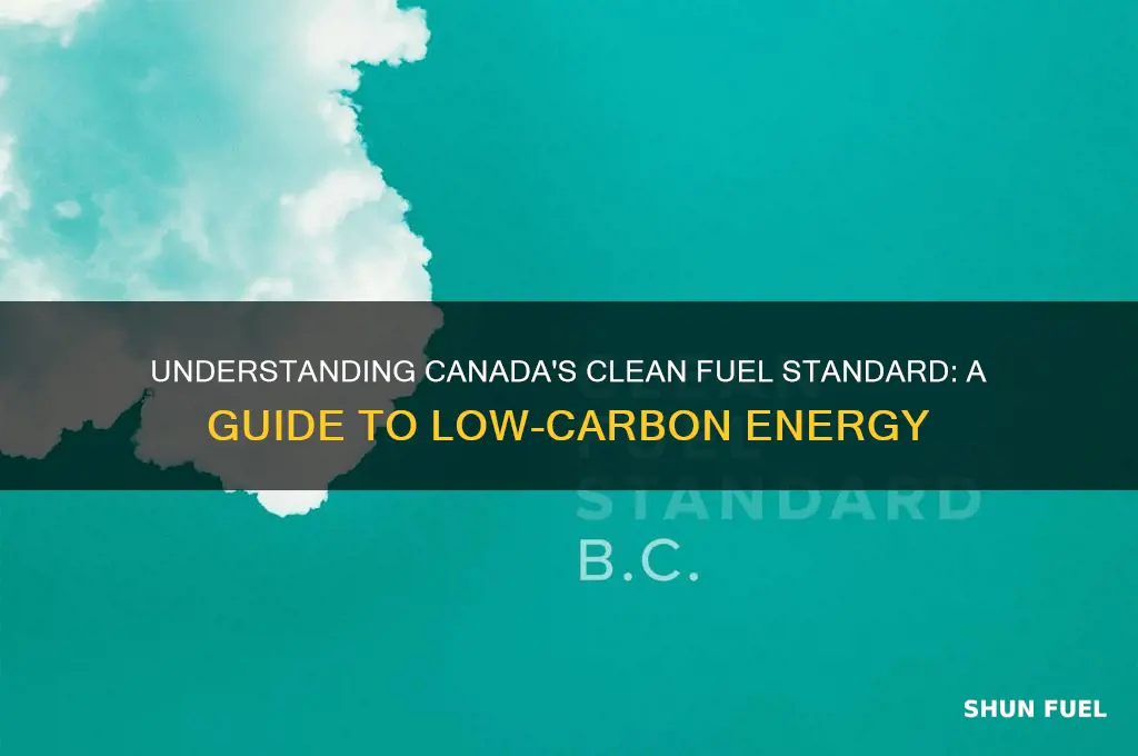 what is the clean fuel standard canada
