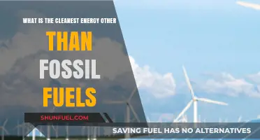 Exploring the Cleanest Renewable Energy Alternatives Beyond Fossil Fuels