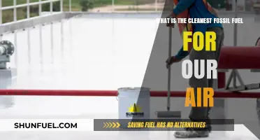 Exploring the Cleanest Fossil Fuel: Natural Gas and Air Quality