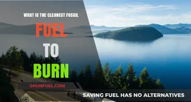 Exploring the Cleanest Fossil Fuel: Natural Gas vs. Alternatives