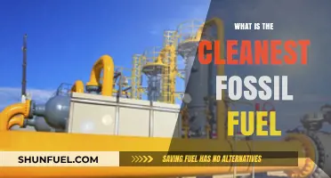 Cleanest Fossil Fuel: What's the Least Harmful Energy Source?