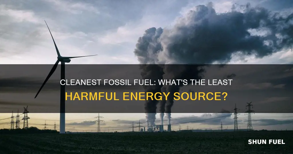 what is the cleanest fossil fuel