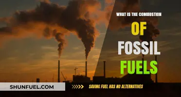 Understanding the Combustion of Fossil Fuels: Process, Impact, and Alternatives