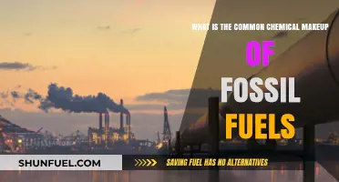 Understanding Fossil Fuels: Exploring Their Common Chemical Composition