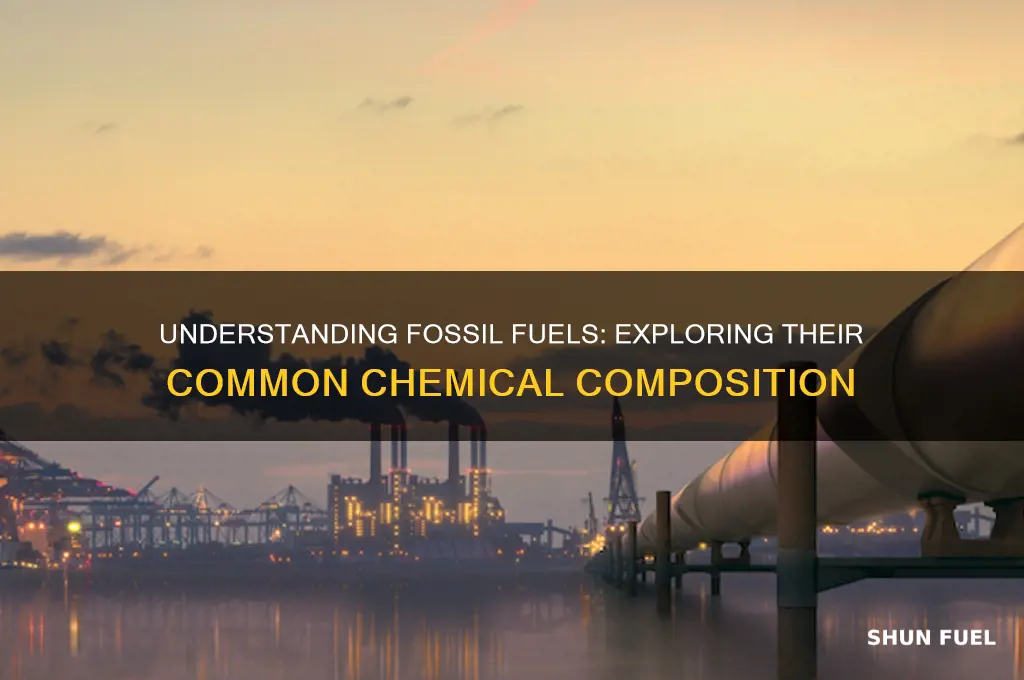 what is the common chemical makeup of fossil fuels