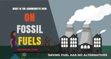 Fossil Fuels: Public Opinion, Environmental Impact, and Future Alternatives