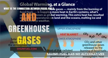 Fossil Fuels and Greenhouse Gases: Unraveling the Climate Connection