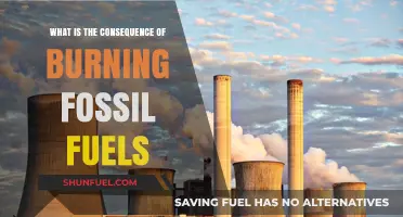 Burning Fossil Fuels: Unveiling the Devastating Environmental and Health Consequences