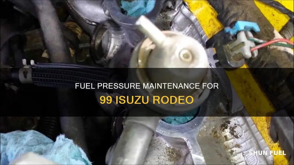 what is the correct fuel pressure for 99 isuzu rodeo