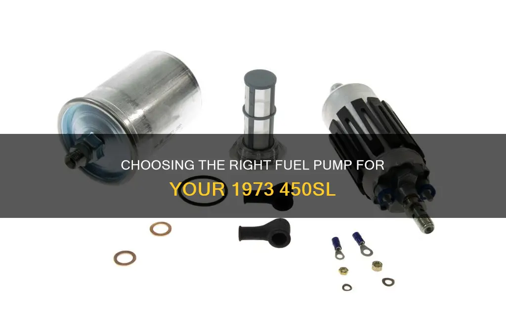 what is the correct fuel pump for my 1973 450sl