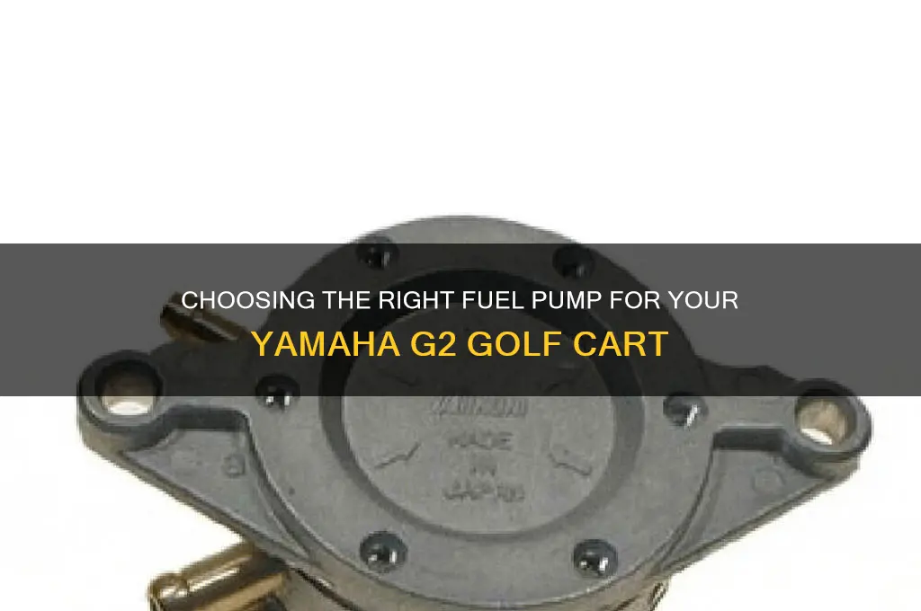 what is the correct fuel pump for yamaha g2