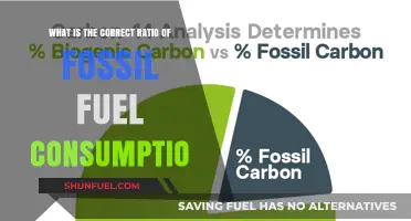 Understanding the Ideal Fossil Fuel Consumption Ratio for Sustainability