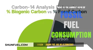 Optimal Fossil Fuel Consumption Ratio: Balancing Energy Needs and Sustainability